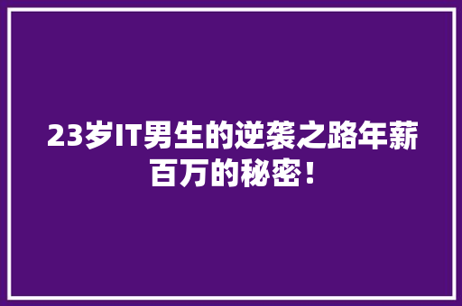 23岁IT男生的逆袭之路年薪百万的秘密！ SEO关键词