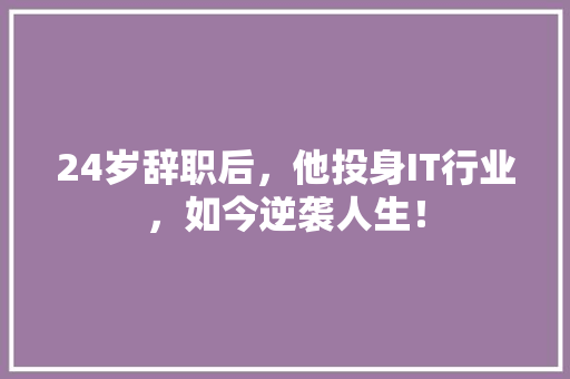 24岁辞职后，他投身IT行业，如今逆袭人生！ 百度SEO