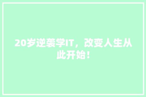 20岁逆袭学IT，改变人生从此开始！ 必应SEO