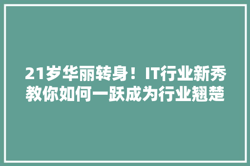 21岁华丽转身！IT行业新秀教你如何一跃成为行业翘楚！ 搜狗SEO