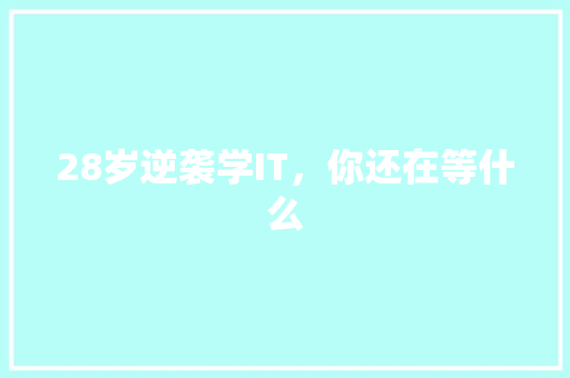28岁逆袭学IT，你还在等什么 搜狗SEO