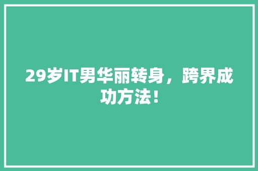 29岁IT男华丽转身，跨界成功方法！ SEO关键词