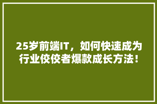 25岁前端IT，如何快速成为行业佼佼者爆款成长方法！ SEO关键词
