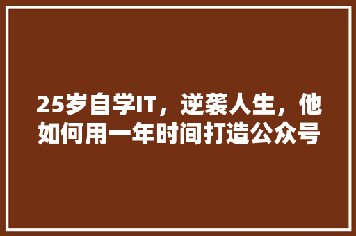 25岁自学IT，逆袭人生，他如何用一年时间打造公众号爆款 百度SEO