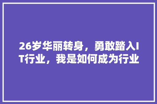 26岁华丽转身，勇敢踏入IT行业，我是如何成为行业新星的 必应SEO