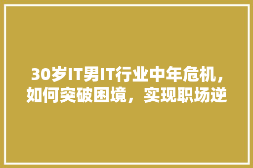 30岁IT男IT行业中年危机，如何突破困境，实现职场逆袭！ 百度SEO