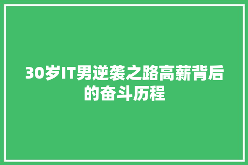 30岁IT男逆袭之路高薪背后的奋斗历程 必应SEO