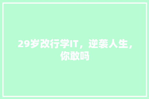 29岁改行学IT，逆袭人生，你敢吗 百度SEO