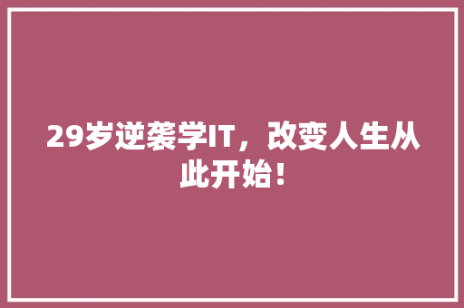 29岁逆袭学IT，改变人生从此开始！ 必应SEO