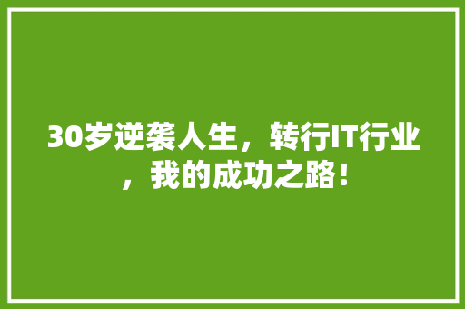 30岁逆袭人生，转行IT行业，我的成功之路！ 百度SEO