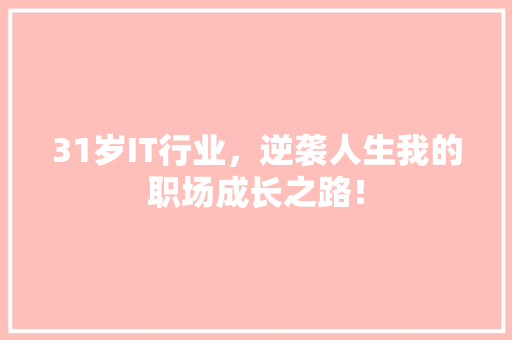 31岁IT行业，逆袭人生我的职场成长之路！ 必应SEO