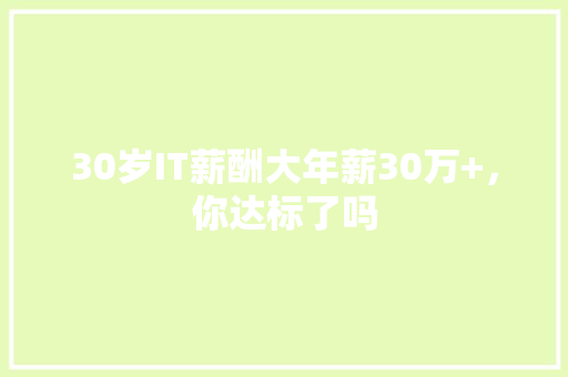 30岁IT薪酬大年薪30万+，你达标了吗 网站建设公司