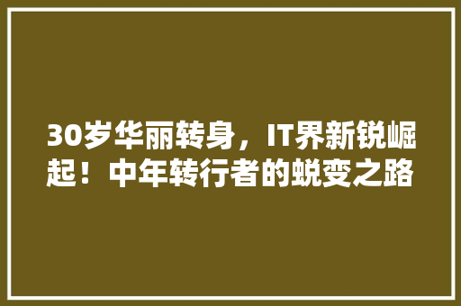 30岁华丽转身，IT界新锐崛起！中年转行者的蜕变之路！ 网站建设公司