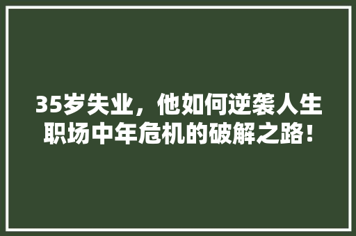 35岁失业，他如何逆袭人生职场中年危机的破解之路！ 百度SEO