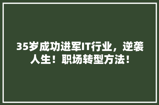 35岁成功进军IT行业，逆袭人生！职场转型方法！ 必应SEO