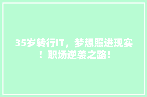 35岁转行IT，梦想照进现实！职场逆袭之路！ 网站建设公司