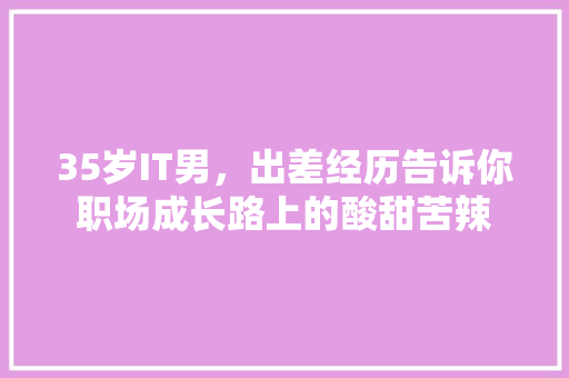 35岁IT男，出差经历告诉你职场成长路上的酸甜苦辣 必应SEO