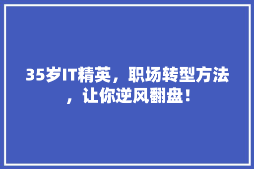 35岁IT精英，职场转型方法，让你逆风翻盘！ SEO关键词