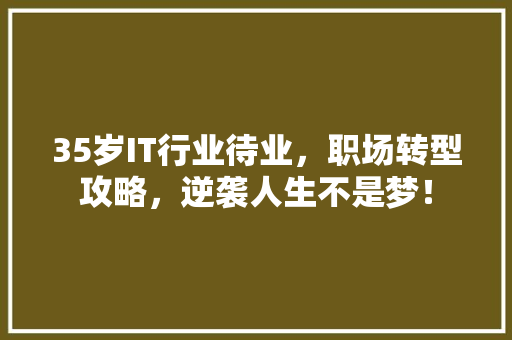 35岁IT行业待业，职场转型攻略，逆袭人生不是梦！