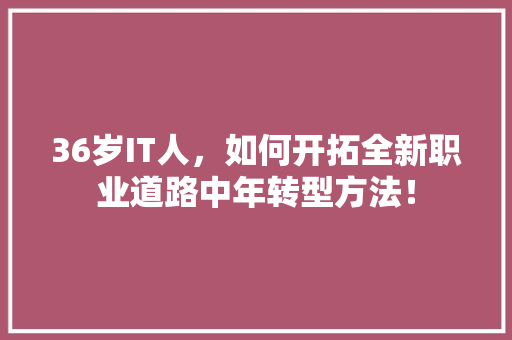 36岁IT人，如何开拓全新职业道路中年转型方法！ 网站建设公司