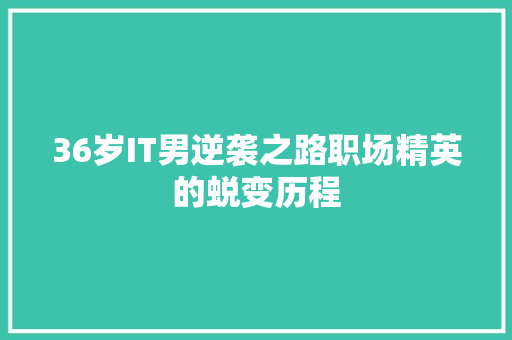 36岁IT男逆袭之路职场精英的蜕变历程 百度SEO