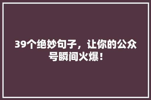39个绝妙句子，让你的公众号瞬间火爆！ 神马SEO