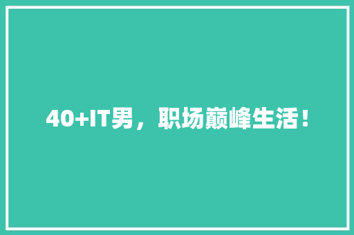 40+IT男，职场巅峰生活！ 百度SEO