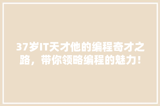 37岁IT天才他的编程奇才之路，带你领略编程的魅力！ 神马SEO