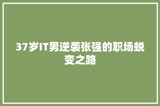 37岁IT男逆袭张强的职场蜕变之路 网站建设公司