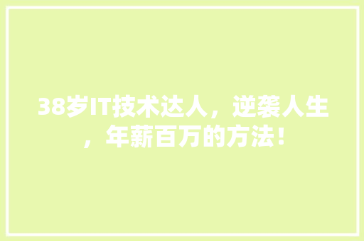 38岁IT技术达人，逆袭人生，年薪百万的方法！ 必应SEO