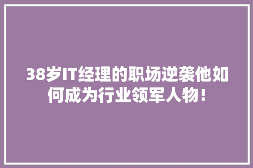 38岁IT经理的职场逆袭他如何成为行业领军人物！ 网站建设公司