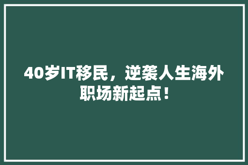 40岁IT移民，逆袭人生海外职场新起点！ 神马SEO