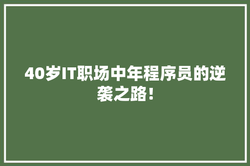 40岁IT职场中年程序员的逆袭之路！ 网站建设公司