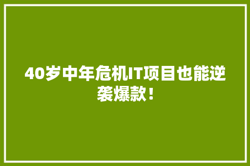 40岁中年危机IT项目也能逆袭爆款！ 网站建设公司