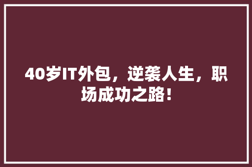 40岁IT外包，逆袭人生，职场成功之路！ 网站建设公司