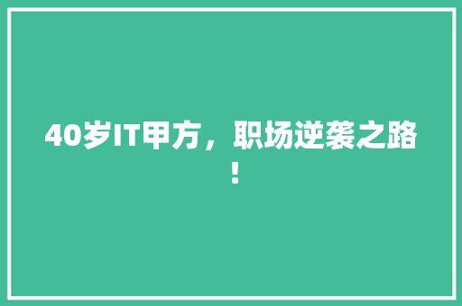40岁IT甲方，职场逆袭之路！ 神马SEO