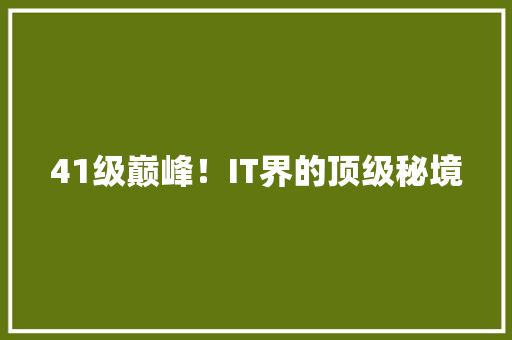 41级巅峰！IT界的顶级秘境 搜狗SEO