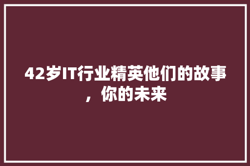 42岁IT行业精英他们的故事，你的未来 必应SEO