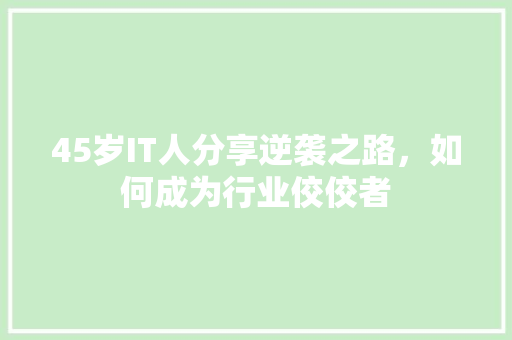 45岁IT人分享逆袭之路，如何成为行业佼佼者 SEO关键词