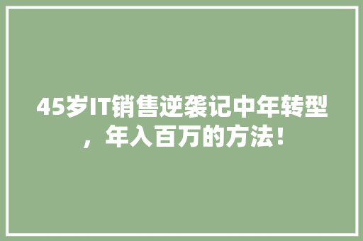 45岁IT销售逆袭记中年转型，年入百万的方法！ 搜狗SEO