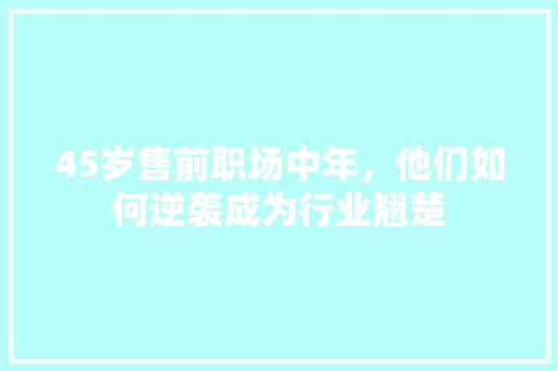 45岁售前职场中年，他们如何逆袭成为行业翘楚 SEO关键词