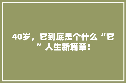40岁，它到底是个什么“它”人生新篇章！ SEO关键词