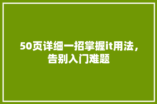 50页详细一招掌握it用法，告别入门难题 百度SEO