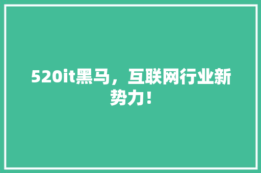520it黑马，互联网行业新势力！ 必应SEO