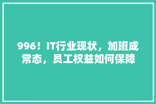 996！IT行业现状，加班成常态，员工权益如何保障 百度SEO