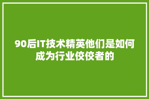 90后IT技术精英他们是如何成为行业佼佼者的 百度SEO