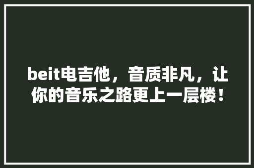 beit电吉他，音质非凡，让你的音乐之路更上一层楼！ SEO关键词