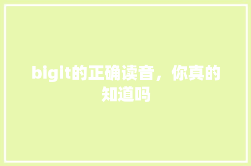 bigit的正确读音，你真的知道吗 必应SEO