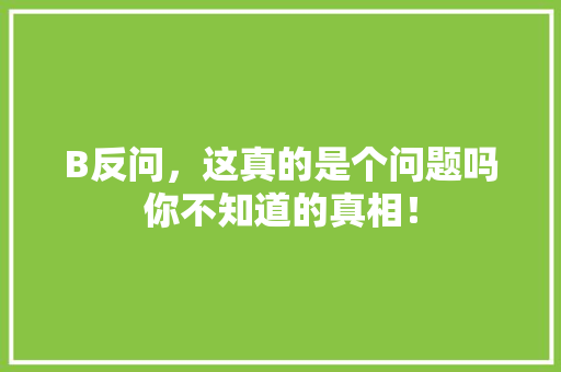 B反问，这真的是个问题吗你不知道的真相！ 网站建设公司