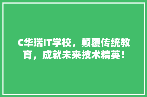 C华瑞IT学校，颠覆传统教育，成就未来技术精英！ 网站建设公司